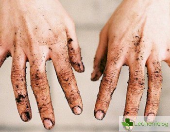 Кои са заболяванията с общото наименование - болести на мръсните ръце