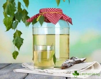 Отслабване на брезов сок - възможно ли е