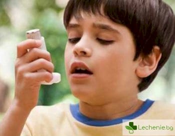 Как животинската вълна предпазва децата от бронхиална астма