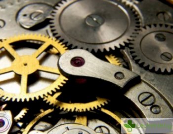 Генетичен механизъм - ето как работи вътрешният ни часовник