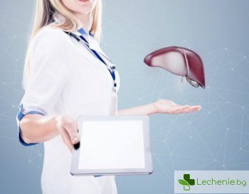 Топ 3 най-големи заблуди за опасността от цироза