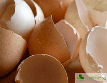 3 невероятни ползи за здравето от яйчените черупки, за които дори и не подозирате