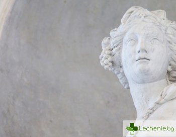 16-те най-разпространени заблуждения за човешкото тяло