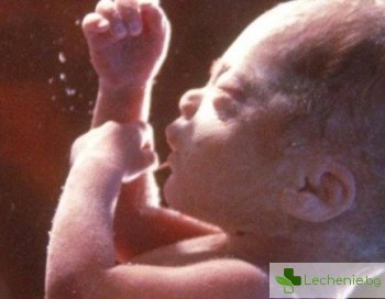 На какво може да се научи детето, преди да се появи на бял свят