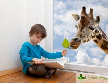 Децата и книгите - защо е важно да се чете