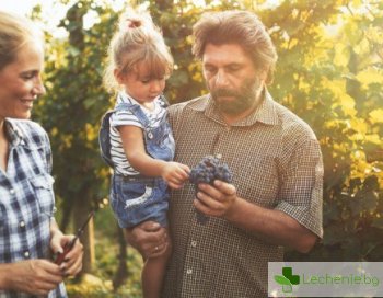 Децата на веганите плащат за безразсъдството на родителите си