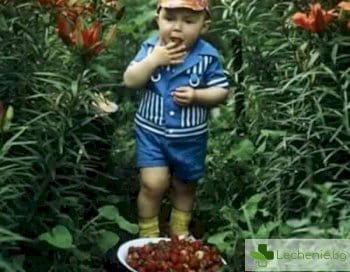 На село при баба - как прекарваха летните ваканции децата преди 1989 г.