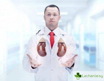 Изкуствен бъбрек - от хемодиализа до бъбрек от епруветка