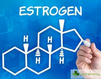 Как естрогените принуждават организма да трупа мазнини