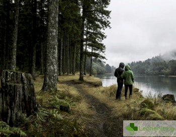 Екотерапия - разходка в гората вместо откровения в леглото