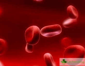 4 храни, увеличаващи концентрацията на тромбоцитите в кръвта