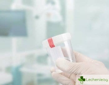 Топ 3 болести с най-дълъг инкубационен период