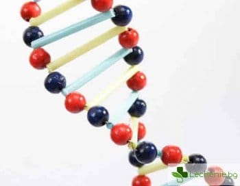 Кодът на живота - специалистите по генетика изобретяват елексири на младостта и верността