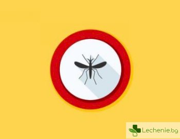 Топ 12 средства, които предотвратяват чесането на ухапаното от комари