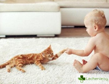 Малко дете и котка у дома - 5 правила за безопасност