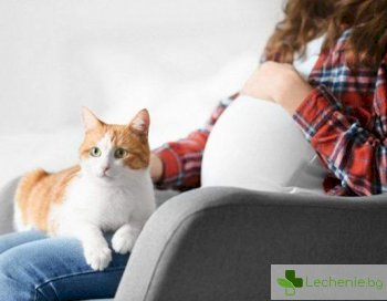Защо за бъдещите майки е категорично забранено да галят котки