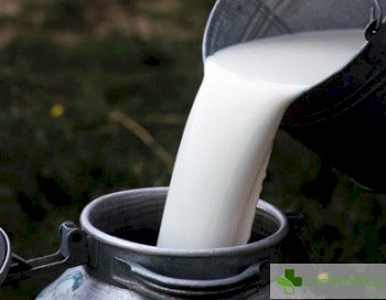 Вредни ли са млякото и млечните продукти