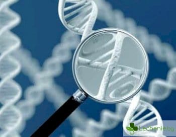 Фармакогенетика - ето каква е връзката между лекарствата и гените