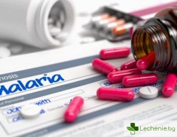 Миризма на малария - защо маларийният комар не хапе овце и кокошки