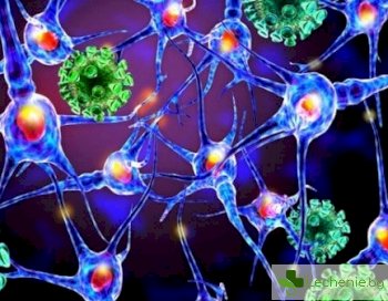 Вирус предизвиква опасни мозъчни инфекции при множествена склероза