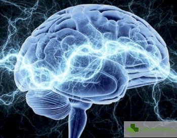 Топ 3 факта за мозъка, които обясняват странното и глупаво поведение