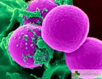 Ново лекарство елиминира смъртоносните MRSA инфекции