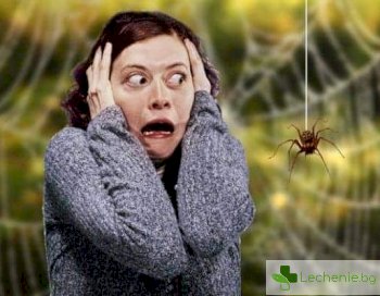Инсектофобия - страх от насекоми