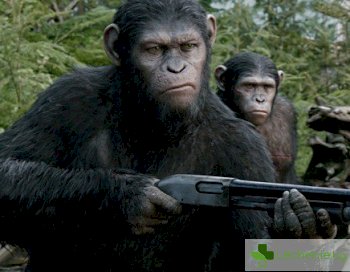 Насилието и убийствата хората наследяват от маймуните