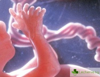 Как се отразяват несъвместимите кръвни групи на бебето по време на бременността?