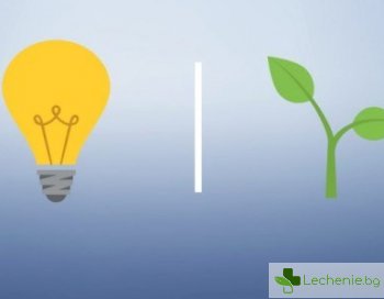 5 натурални стимулатора на ума с научно доказана ефективност