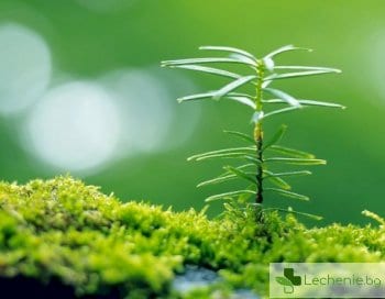 10 проверени съвета, ако ви е омръзнало да живеете постарому
