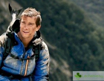 Топ 5 заблуди за оцеляването, които могат да ви струват живота