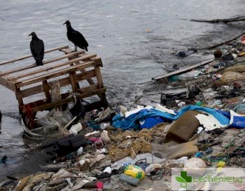 Рио 2016 - защо забраниха на спортистите да потапят главата във водата