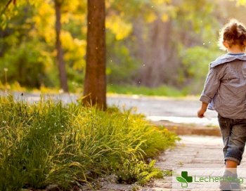Предпазват ли разходките на чист въздух децата от късогледство