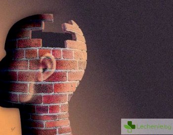 От демагогия до умопомрачение - страничните ефекти на информационната ера