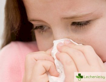 Как да разпознаем и лекуваме студова алергия
