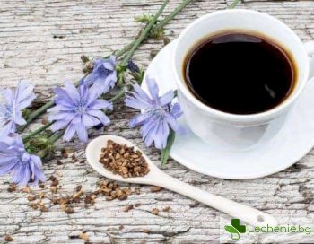 Топ 5 причини защо цикорията е по-полезна от кафето