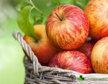 Консумацията на ябълки увеличава продължителността на живота