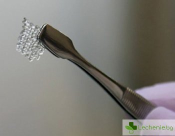 Напечатаха на 3D принтер напълно функционални яйчници