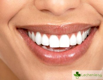 Учени допускат, че регенерацията на зъбите в зряла възраст е възможна