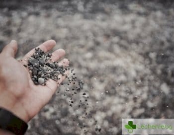 Какво в живота НЕ може да се промени
