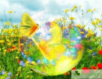20 житейски радости, на които не умеете да се наслаждавате