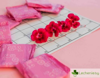 Менструален синхрон