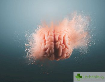 Микросън - най-опасният недостатък на мозъка