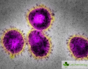 Коронавирусът обявен официално за пандемия от ръководителят на СЗО