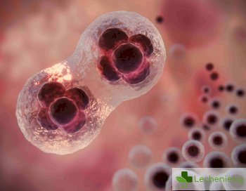 Същност на некрозата