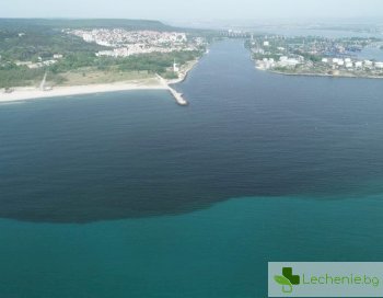 Фекална вълна от спукана тръба може да залее морската столица Варна