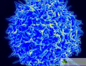 Имплант „хваща в капан” разпространяващите се ракови клетки