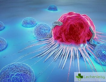 Раковите клетки оцеляват с канибализъм, изяждат съседите си при химиотерапия