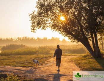 Как сутрешната разходка подобрява здравето – топ 10 научни факта